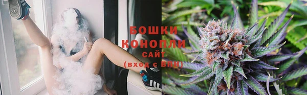 шишки Елабуга