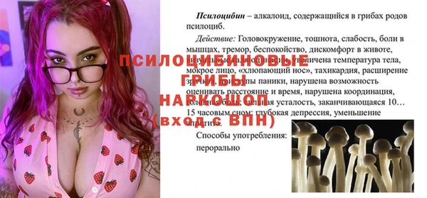 а пвп мука Алзамай
