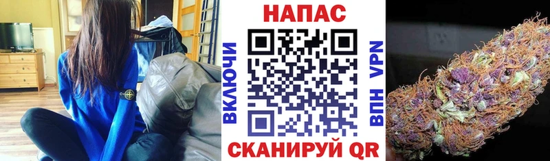 хочу наркоту  Устюжна  Бошки Шишки гибрид 